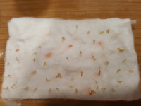 수피부샵