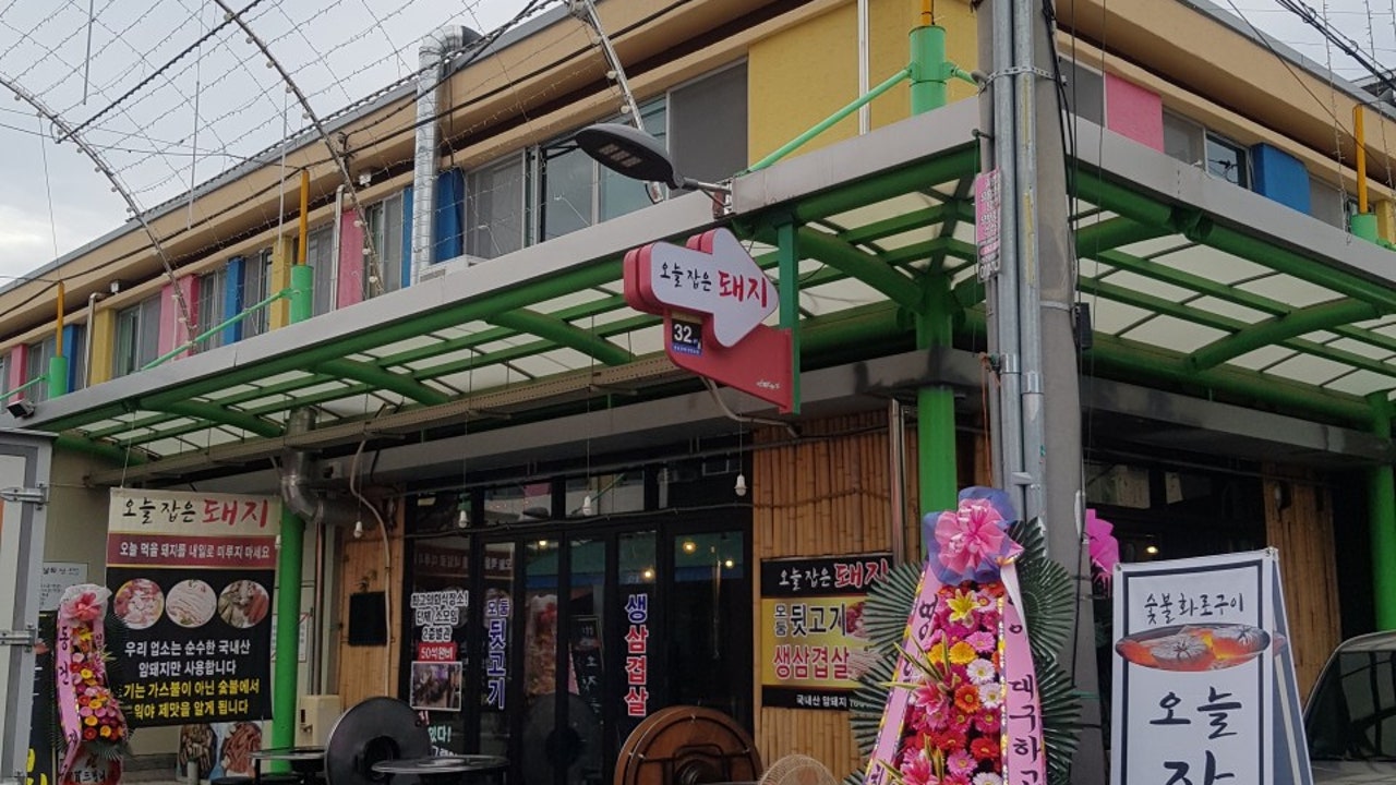 오늘잡은돼지
