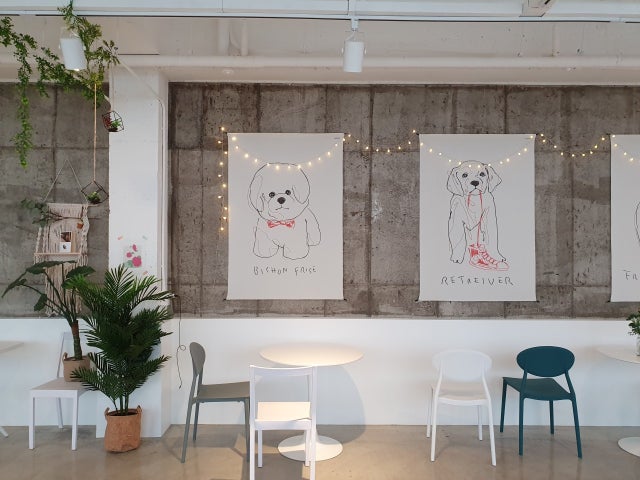 커멍도그