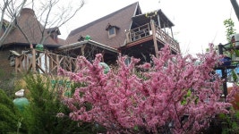 위도깊은금핀란드펜션