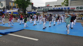 용인대석사미드미태권도장