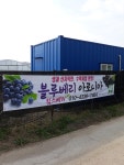 킴스베리