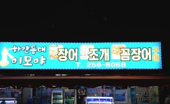 하얀등대이모야