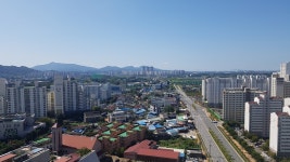 궁터공인중개사사무소