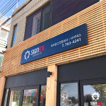 사이넥스