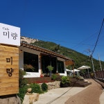 카페미량