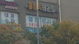올림픽태권도