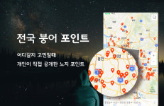 다썸스테이 | 비썸