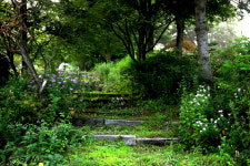 들꽃피는언덕캠핑장