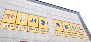 대산서울동물병원