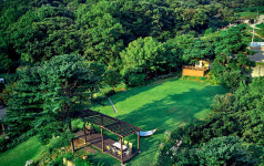 들꽃피는언덕캠핑장