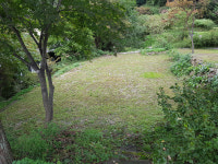 들꽃피는언덕캠핑장