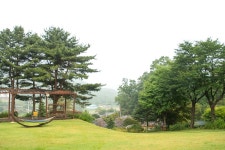 들꽃피는언덕캠핑장