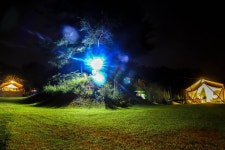 들꽃피는언덕캠핑장