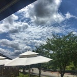 팔롬비니 계룡점