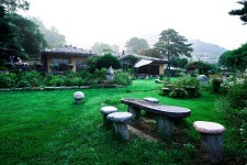 들꽃피는언덕캠핑장