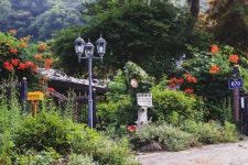 들꽃피는언덕캠핑장