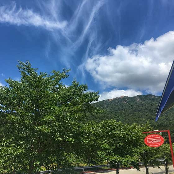 팔롬비니 계룡점 사진