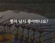 다썸스테이 | 비썸