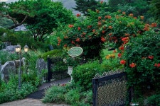 들꽃피는언덕캠핑장