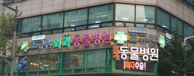 조규만외과동물병원