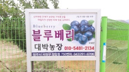 대박농장