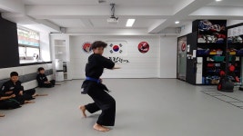 드림합기도