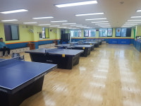 88탁구장