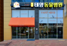 옥포태양동물병원