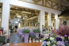 프로방스 레스토랑