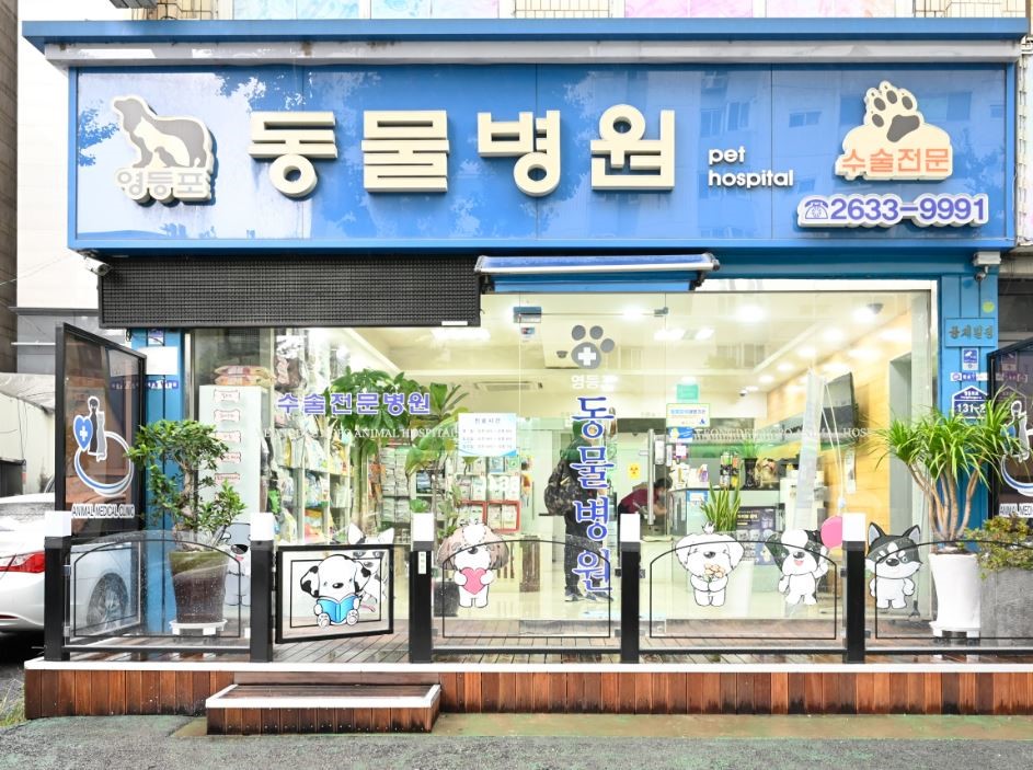 영등포동물병원