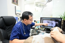 영등포동물병원