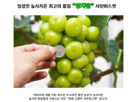 양지팜영농조합법인