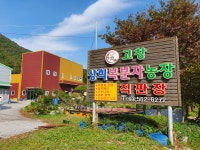 고창상희복분자농장