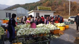 신포2리수리봉마을영농조합법인