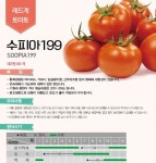 대산