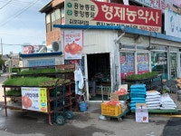 흥농종묘 형제농약사