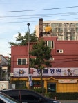 유동물병원