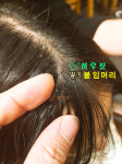 여우짓 붙임머리