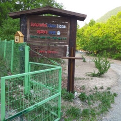 에비홈 기도원 삼계리교회