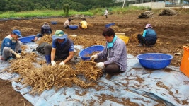신포2리수리봉마을영농조합법인