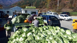 신포2리수리봉마을영농조합법인