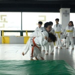 유사사 유도관