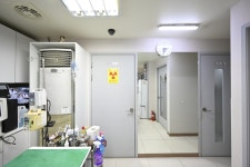 영등포동물병원