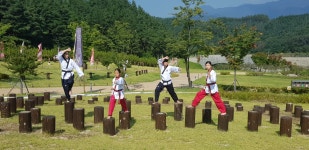 명품백두태권도