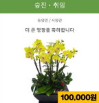 아이비플라워