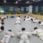 유사사 유도관