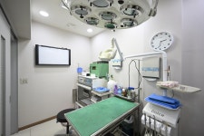 영등포동물병원