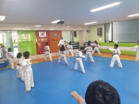 한가림다올태권도