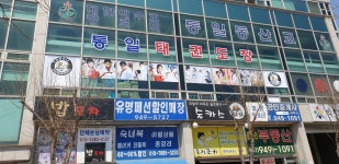 통일태권도